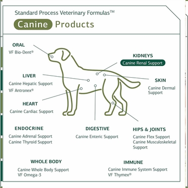 STANDARD-PROCESS-CANINE-RENAL-SUPPORT-110G