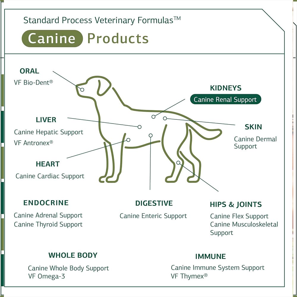 STANDARD-PROCESS-CANINE-RENAL-SUPPORT-110G