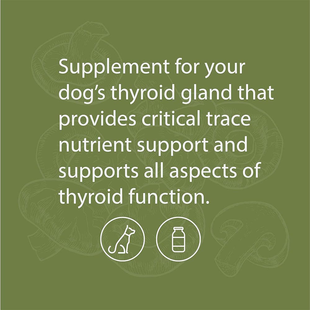STANDARD-PROCESS-CANINE-THYROID-SUPPORT-100G