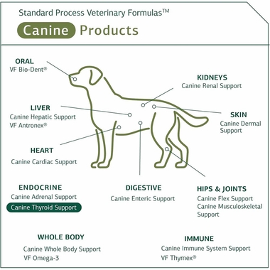 STANDARD-PROCESS-CANINE-THYROID-SUPPORT-100G