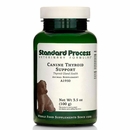Standard Process Canine Thyroid Support Powder (100 g)