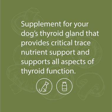 STANDARD-PROCESS-CANINE-THYROID-SUPPORT-25G