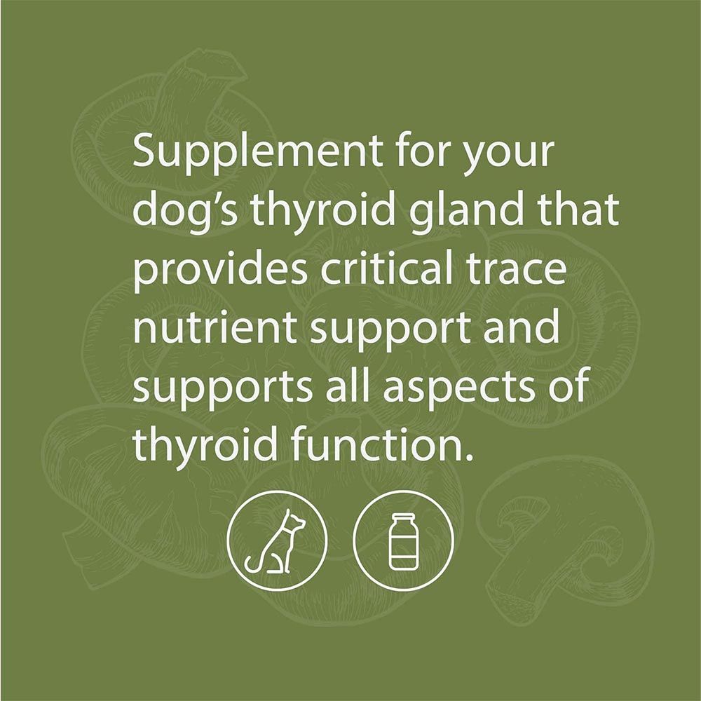 STANDARD-PROCESS-CANINE-THYROID-SUPPORT-25G