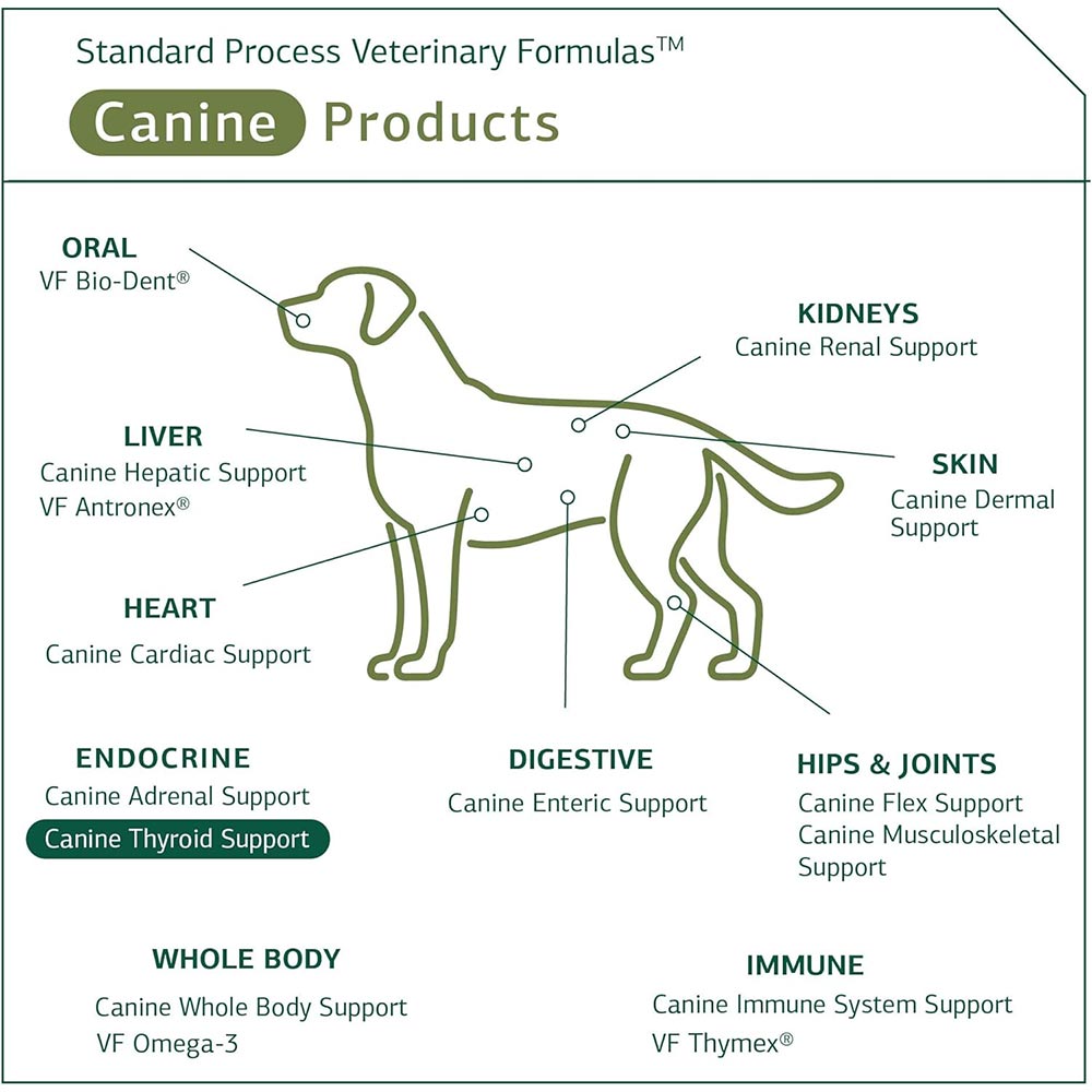 STANDARD-PROCESS-CANINE-THYROID-SUPPORT-25G