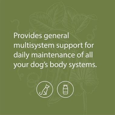 STANDARD-PROCESS-CANINE-WHOLE-BODY-SUPPORT-100G
