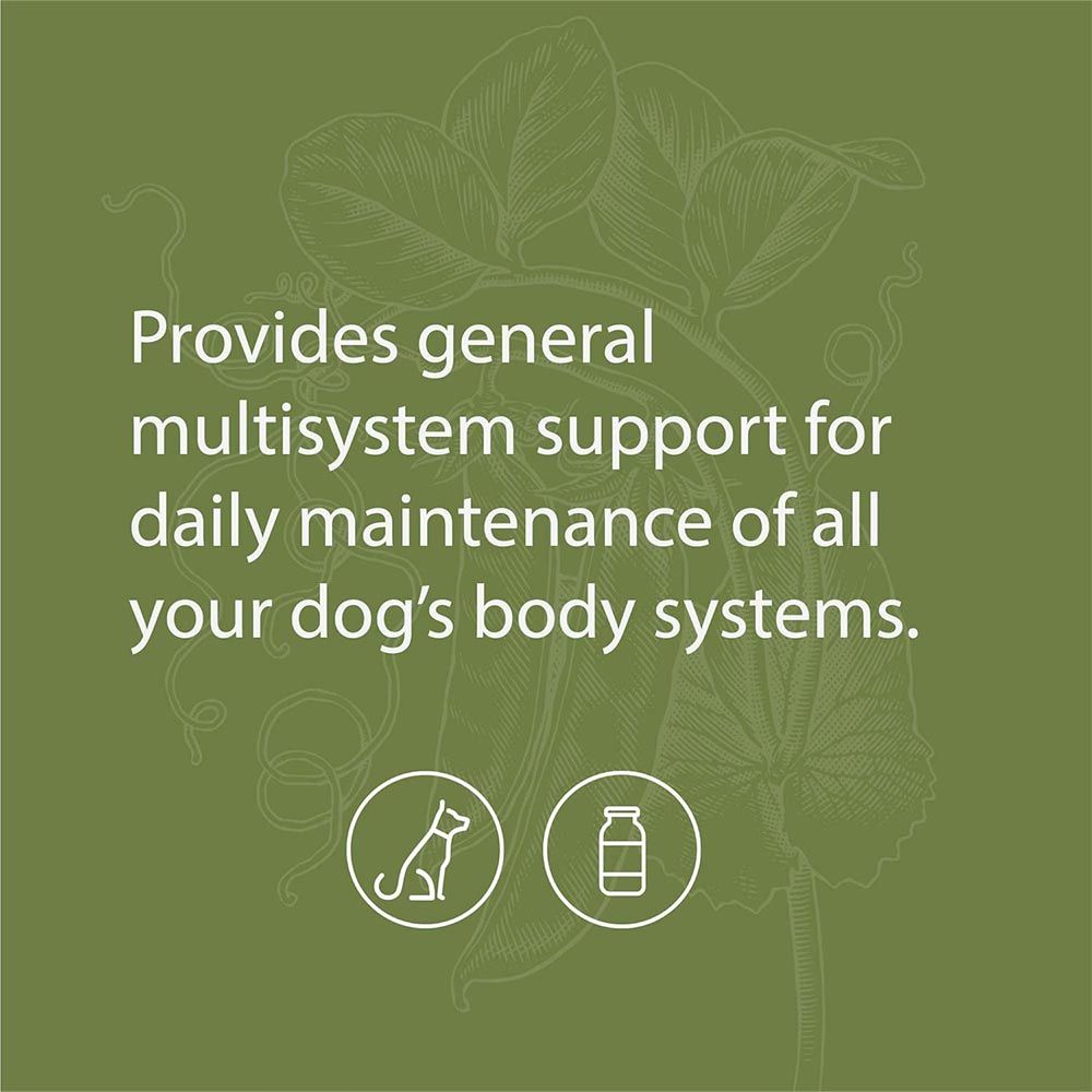 STANDARD-PROCESS-CANINE-WHOLE-BODY-SUPPORT-100G