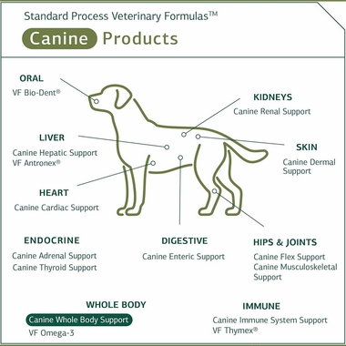 STANDARD-PROCESS-CANINE-WHOLE-BODY-SUPPORT-100G