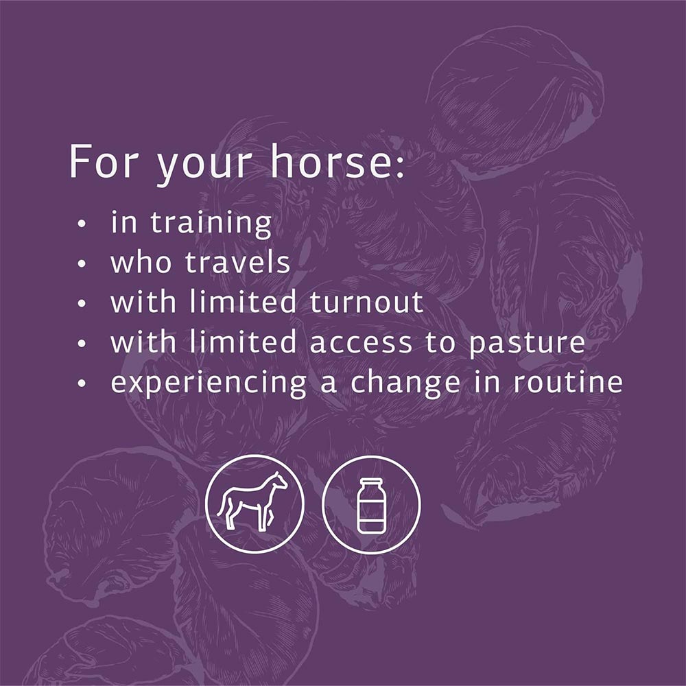STANDARD-PROCESS-EQUINE-GI-SUPPORT-850G