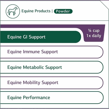 STANDARD-PROCESS-EQUINE-GI-SUPPORT-850G