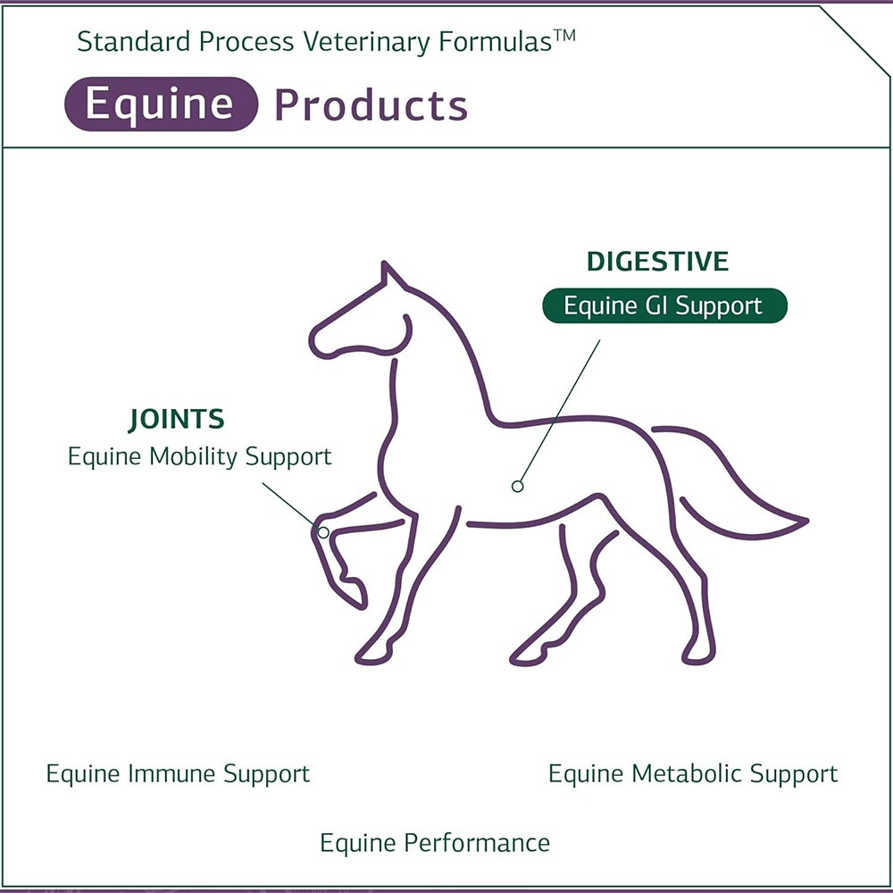 STANDARD-PROCESS-EQUINE-GI-SUPPORT-850G