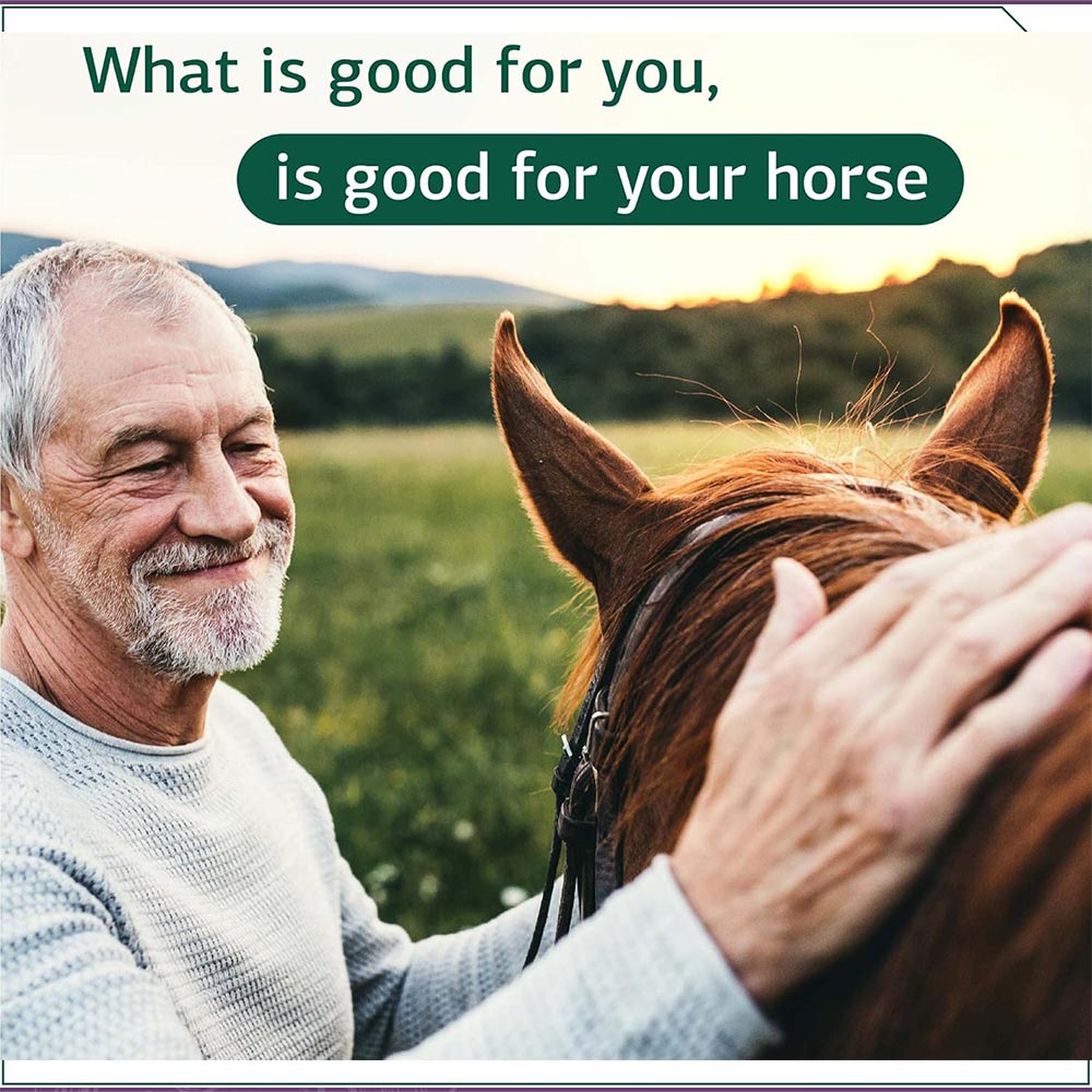 STANDARD-PROCESS-EQUINE-GI-SUPPORT-850G