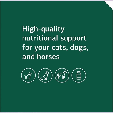 STANDARD-PROCESS-EQUINE-GI-SUPPORT-850G