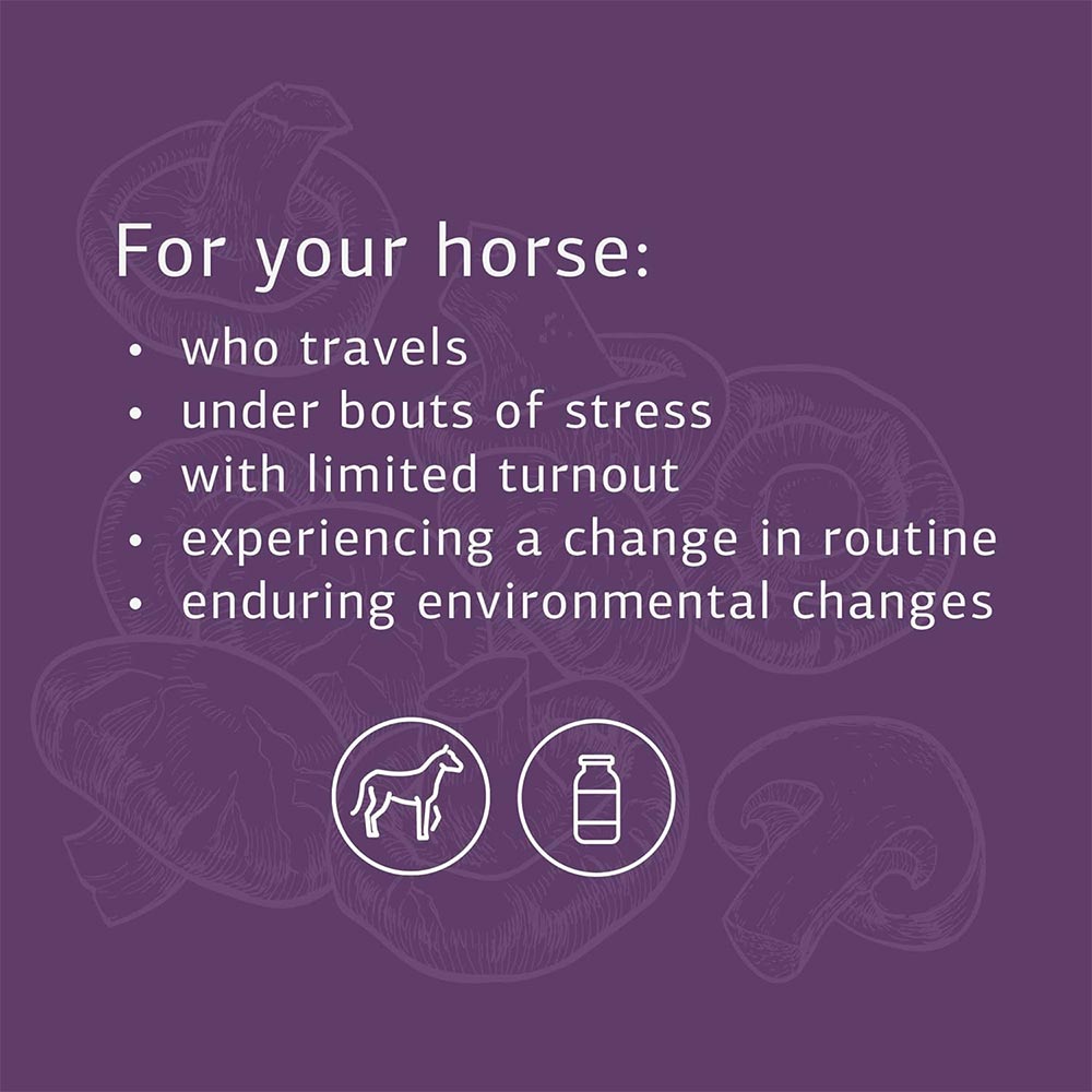 STANDARD-PROCESS-EQUINE-IMMUNE-SUPPORT-850G