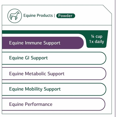 STANDARD-PROCESS-EQUINE-IMMUNE-SUPPORT-850G
