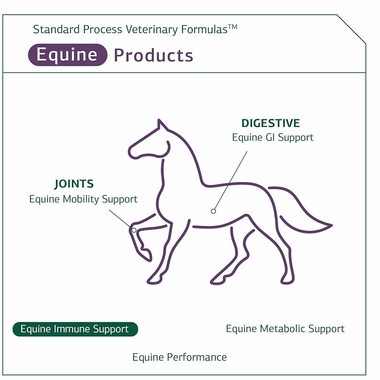 STANDARD-PROCESS-EQUINE-IMMUNE-SUPPORT-850G
