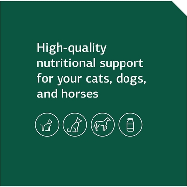 STANDARD-PROCESS-EQUINE-IMMUNE-SUPPORT-850G