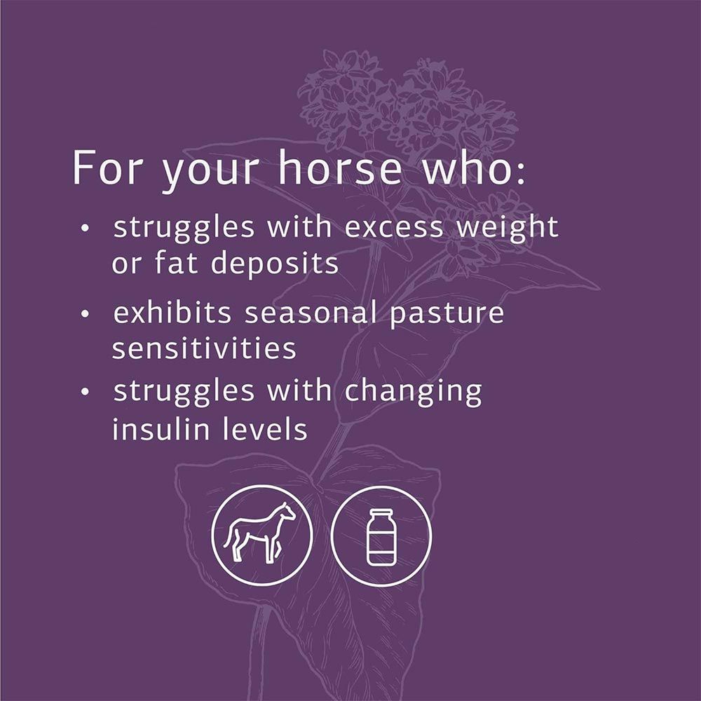 STANDARD-PROCESS-EQUINE-METABOLIC-SUPPORT-40OZ