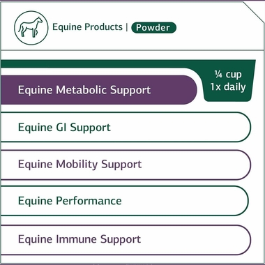STANDARD-PROCESS-EQUINE-METABOLIC-SUPPORT-40OZ