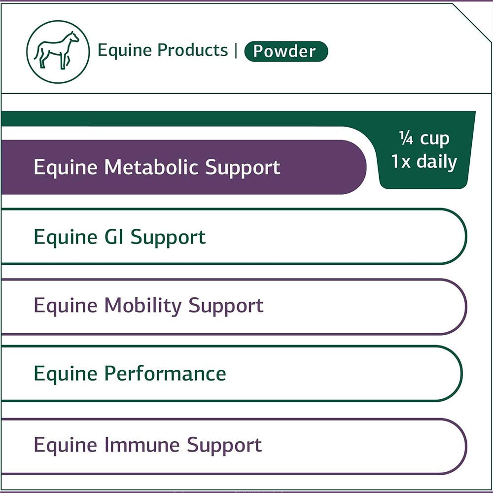 STANDARD-PROCESS-EQUINE-METABOLIC-SUPPORT-40OZ