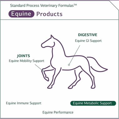 STANDARD-PROCESS-EQUINE-METABOLIC-SUPPORT-40OZ