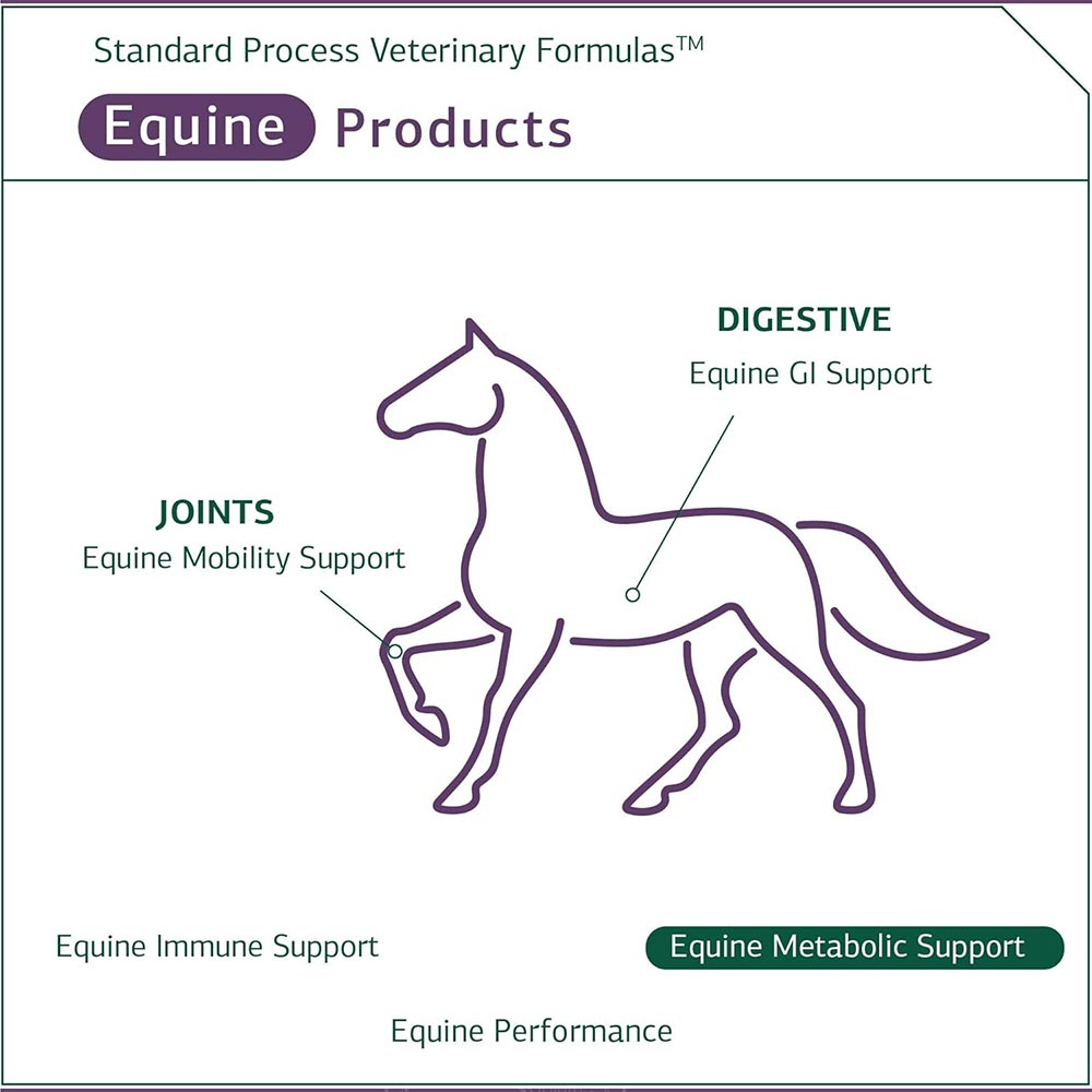 STANDARD-PROCESS-EQUINE-METABOLIC-SUPPORT-40OZ