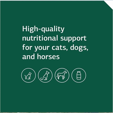 STANDARD-PROCESS-EQUINE-METABOLIC-SUPPORT-40OZ
