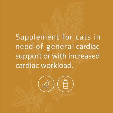 STANDARD-PROCESS-FELINE-CARDIAC-SUPPORT-90-TABLETS