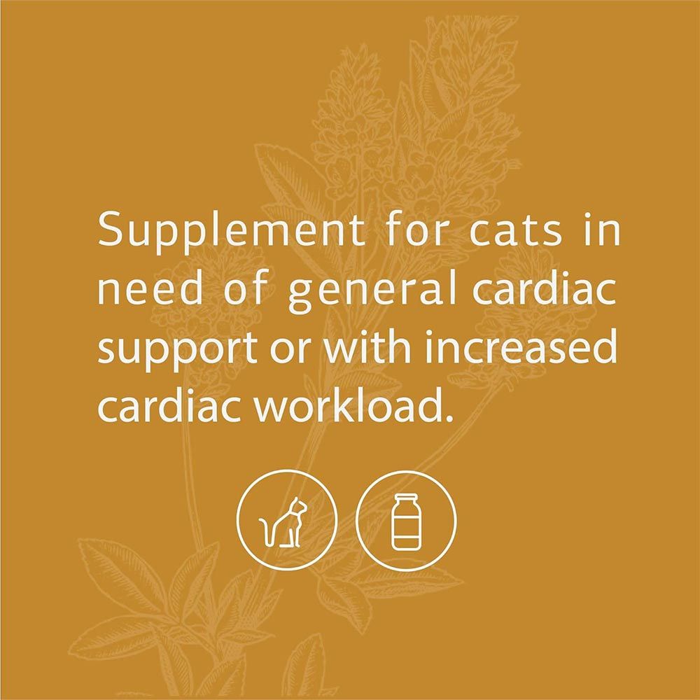 STANDARD-PROCESS-FELINE-CARDIAC-SUPPORT-90-TABLETS
