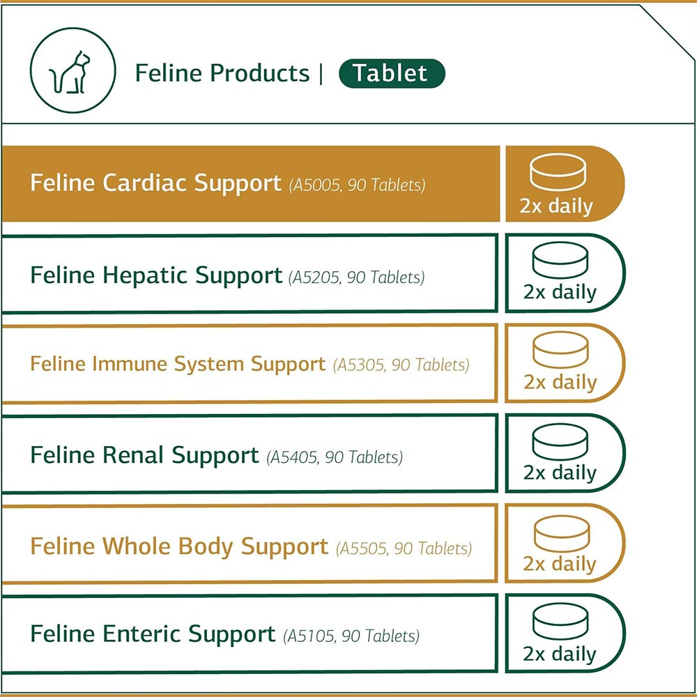 STANDARD-PROCESS-FELINE-CARDIAC-SUPPORT-90-TABLETS