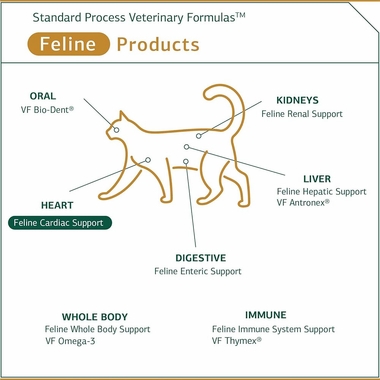 STANDARD-PROCESS-FELINE-CARDIAC-SUPPORT-90-TABLETS