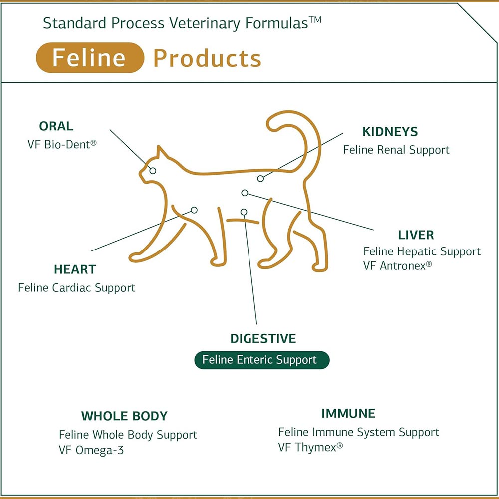 STANDARD-PROCESS-FELINE-ENTERIC-SUPPORT-90-TABLETS