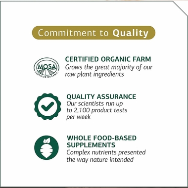 STANDARD-PROCESS-FELINE-ENTERIC-SUPPORT-90-TABLETS