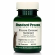 Standard Process Feline Enteric Support (90 Tablets)