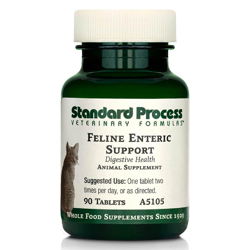 STANDARD-PROCESS-FELINE-ENTERIC-SUPPORT-90-TABLETS