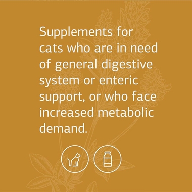 STANDARD-PROCESS-FELINE-ENTERIC-SUPPORT-90-TABLETS