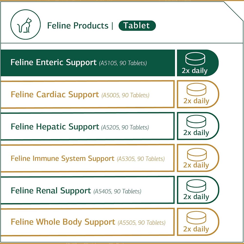 STANDARD-PROCESS-FELINE-ENTERIC-SUPPORT-90-TABLETS