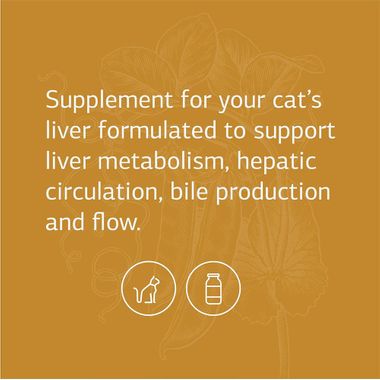 STANDARD-PROCESS-FELINE-HEPATIC-SUPPORT-90-TABLETS