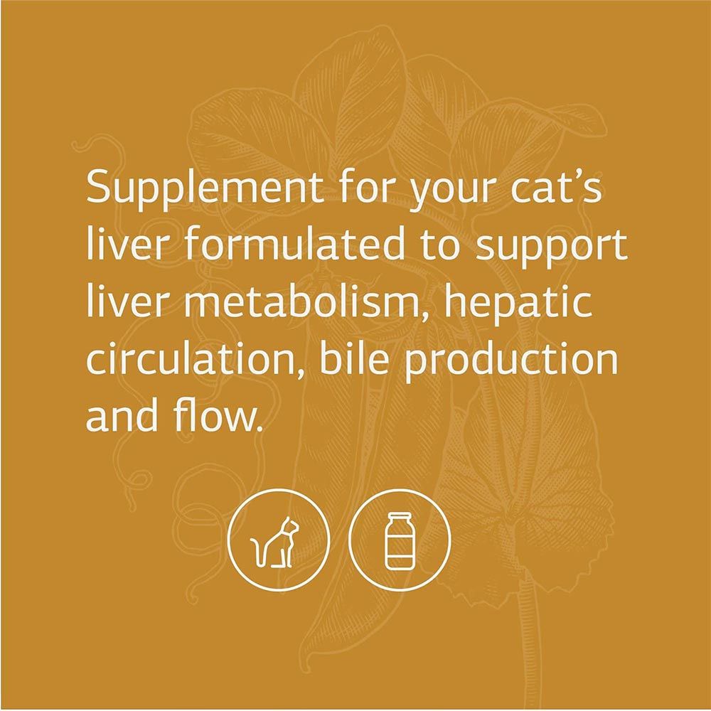 STANDARD-PROCESS-FELINE-HEPATIC-SUPPORT-90-TABLETS