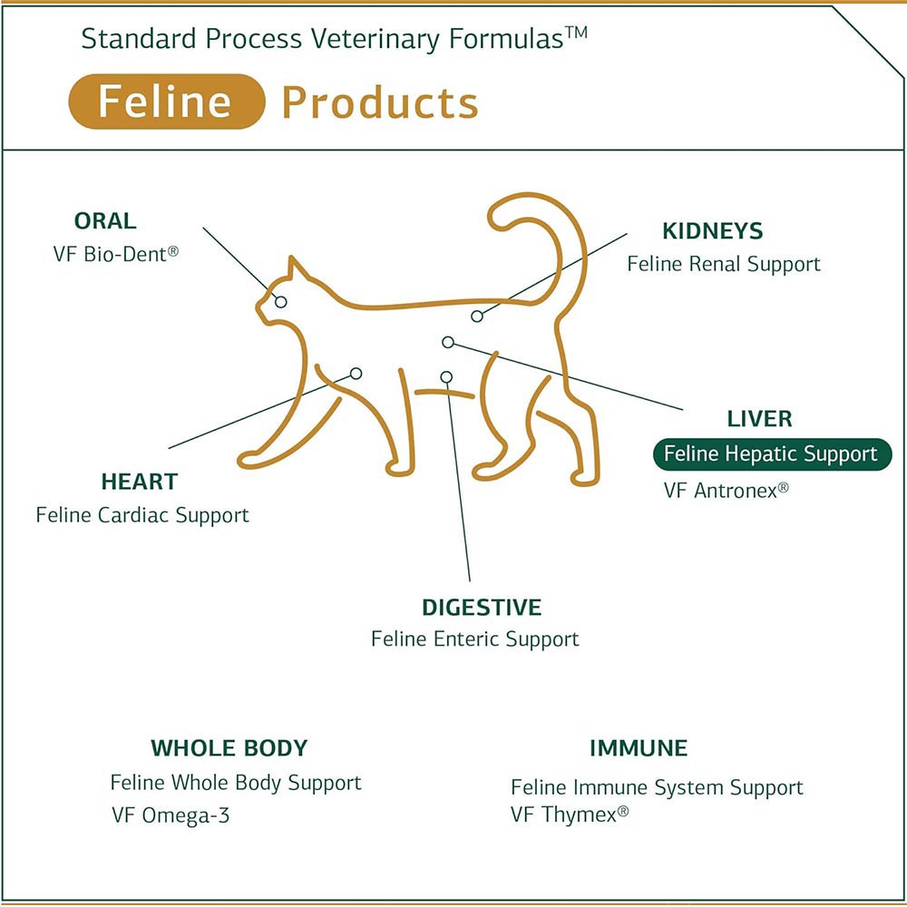 STANDARD-PROCESS-FELINE-HEPATIC-SUPPORT-90-TABLETS