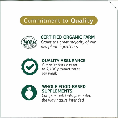 STANDARD-PROCESS-FELINE-HEPATIC-SUPPORT-90-TABLETS