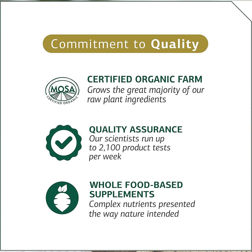 STANDARD-PROCESS-FELINE-HEPATIC-SUPPORT-90-TABLETS