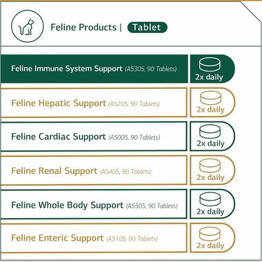 STANDARD-PROCESS-FELINE-IMMUNE-SYSTEM-SUPPORT-90-TABLETS