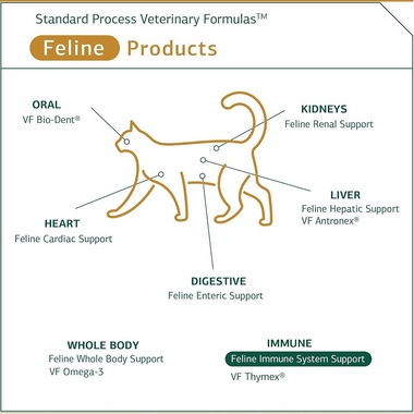 STANDARD-PROCESS-FELINE-IMMUNE-SYSTEM-SUPPORT-90-TABLETS