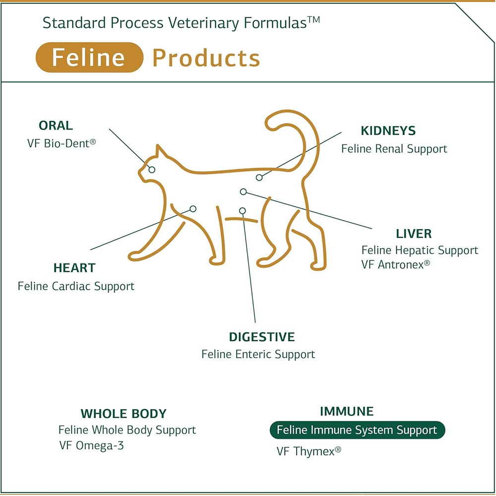 STANDARD-PROCESS-FELINE-IMMUNE-SYSTEM-SUPPORT-90-TABLETS