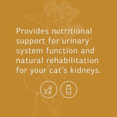 STANDARD-PROCESS-FELINE-RENAL-SUPPORT-90-TABLETS