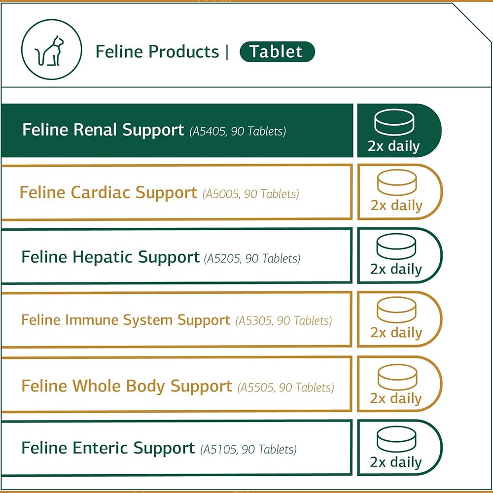 STANDARD-PROCESS-FELINE-RENAL-SUPPORT-90-TABLETS
