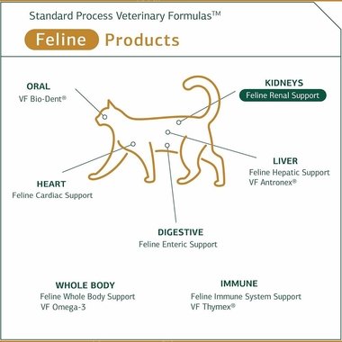 STANDARD-PROCESS-FELINE-RENAL-SUPPORT-90-TABLETS