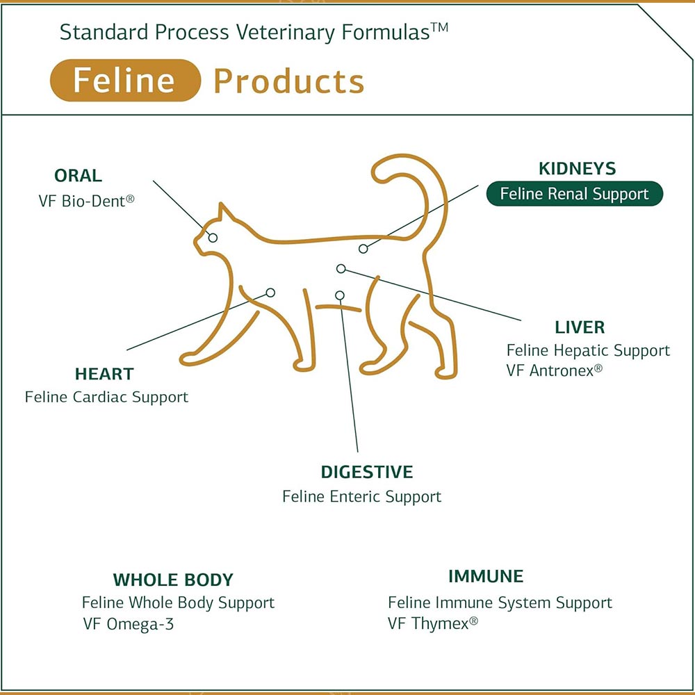 STANDARD-PROCESS-FELINE-RENAL-SUPPORT-90-TABLETS