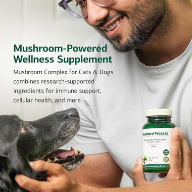 STANDARD-PROCESS-MUSHROOM-COMPLEX-IMMUNE-SUPPORT-83G