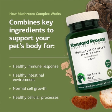 STANDARD-PROCESS-MUSHROOM-COMPLEX-IMMUNE-SUPPORT-83G